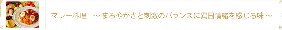 グルメ　マレー料理