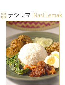 マレー料理ナシレマ