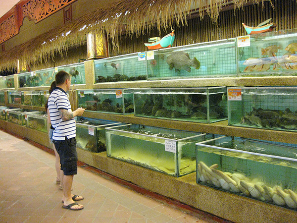 海外ウエディング 海外挙式 マレーシアウエディング ペナン島 「Golden Thai」ゴールデンタイ　巨大な水槽