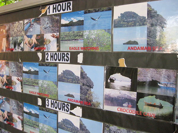 それぞれのコースで体験できることが写真で展示